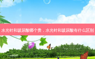 水光针和玻尿酸哪个贵，水光针和玻尿酸有什么区别
