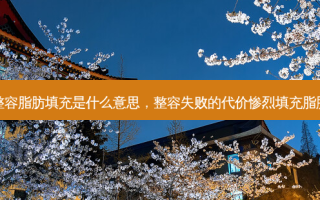整容脂肪填充是什么意思，整容失败的代价惨烈填充脂肪