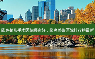 隆鼻整形手术医院哪家好，隆鼻整形医院排行榜最新