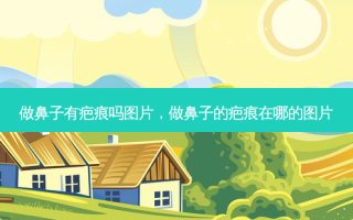 做鼻子有疤痕吗图片，做鼻子的疤痕在哪的图片