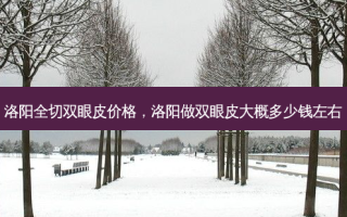 洛阳全切双眼皮价格，洛阳做双眼皮大概多少钱左右