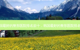 韩国 *** 的整形医院排名前十，韩国 *** 的整形医院排名榜