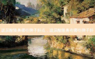 玻尿酸隆鼻哪些牌子好点，玻尿酸隆鼻有哪些牌子好
