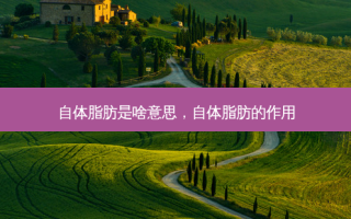 自体脂肪是啥意思，自体脂肪的作用