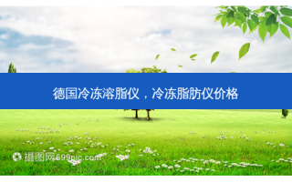 德国冷冻溶脂仪，冷冻脂肪仪价格