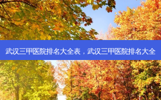 武汉三甲医院排名大全表，武汉三甲医院排名大全
