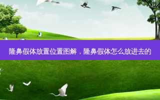 隆鼻假体放置位置图解，隆鼻假体怎么放进去的