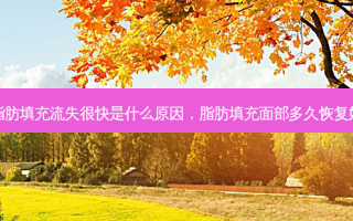 脂肪填充流失很快是什么原因，脂肪填充面部多久恢复好