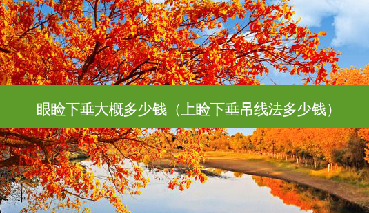 眼睑下垂大概多少钱(上睑下垂吊线法多少钱)-第1张图片-美选资讯网 眼睑下垂大概多少钱(上睑下垂吊线法多少钱)-第1张图片-美选资讯网