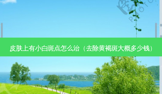 皮肤上有小白斑点怎么治(去除黄褐斑大概多少钱)-第1张图片-美选资讯网 皮肤上有小白斑点怎么治(去除黄褐斑大概多少钱)-第1张图片-美选资讯网