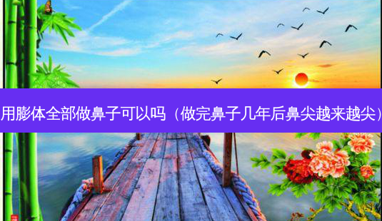 用膨体全部做鼻子可以吗(做完鼻子几年后鼻尖越来越尖)-第1张图片-美选资讯网 用膨体全部做鼻子可以吗(做完鼻子几年后鼻尖越来越尖)-第1张图片-美选资讯网
