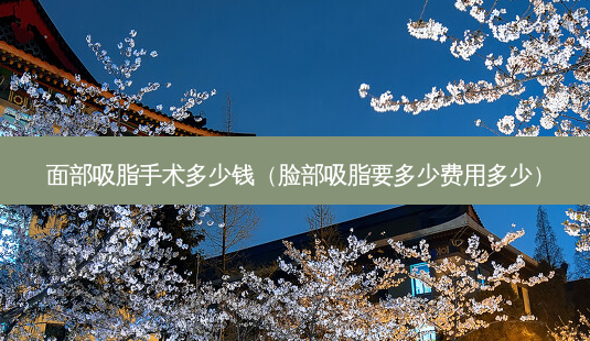 面部吸脂手术多少钱(脸部吸脂要多少费用多少)-第1张图片-美选资讯网 面部吸脂手术多少钱(脸部吸脂要多少费用多少)-第1张图片-美选资讯网