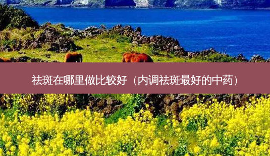 祛斑在哪里做比较好(内调祛斑好的中药)-第1张图片-美选资讯网 祛斑在哪里做比较好(内调祛斑好的中药)-第1张图片-美选资讯网