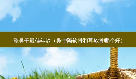 整鼻子佳年龄(鼻中隔软骨和耳软骨哪个好)-第1张图片-美选资讯网 整鼻子佳年龄(鼻中隔软骨和耳软骨哪个好)-第1张图片-美选资讯网