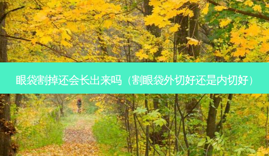眼袋割掉还会长出来吗(割眼袋外切好还是内切好)-第1张图片-美选资讯网 眼袋割掉还会长出来吗(割眼袋外切好还是内切好)-第1张图片-美选资讯网