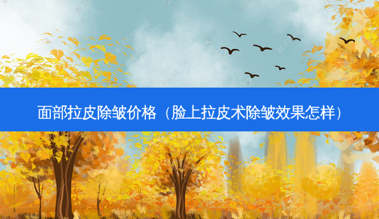 面部拉皮除皱价格(脸上拉皮术除皱效果怎样)-第1张图片-美选资讯网 面部拉皮除皱价格(脸上拉皮术除皱效果怎样)-第1张图片-美选资讯网