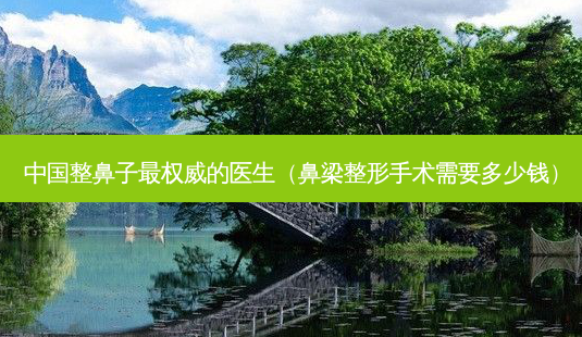 中国整鼻子的医生(鼻梁整形手术需要多少钱)-第1张图片-美选资讯网 中国整鼻子的医生(鼻梁整形手术需要多少钱)-第1张图片-美选资讯网