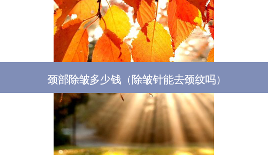 颈部除皱多少钱(除皱针能去颈纹吗)-第1张图片-美选资讯网 颈部除皱多少钱(除皱针能去颈纹吗)-第1张图片-美选资讯网