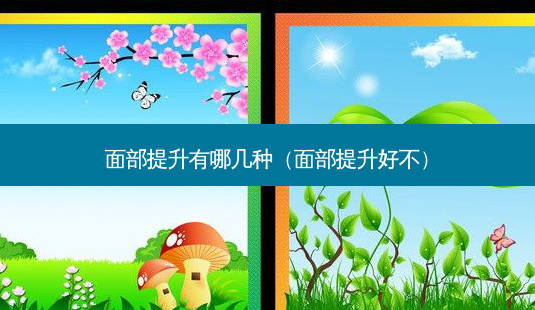 面部提升有哪几种(面部提升好不)-第1张图片-美选资讯网 面部提升有哪几种(面部提升好不)-第1张图片-美选资讯网