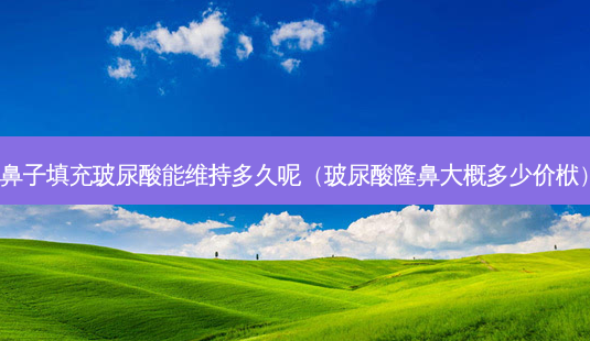 鼻子填充玻尿酸能维持多久呢(玻尿酸隆鼻大概多少价栿)-第1张图片-美选资讯网 鼻子填充玻尿酸能维持多久呢(玻尿酸隆鼻大概多少价栿)-第1张图片-美选资讯网