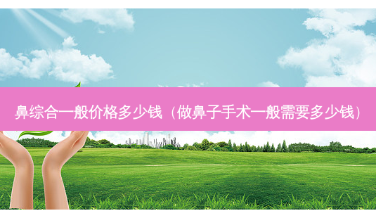 鼻综合一般价格多少钱(做鼻子手术一般需要多少钱)-第1张图片-美选资讯网 鼻综合一般价格多少钱(做鼻子手术一般需要多少钱)-第1张图片-美选资讯网
