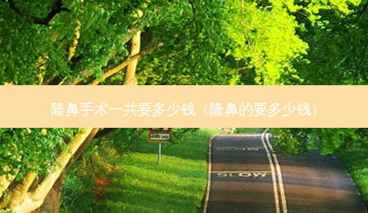 隆鼻手术一共要多少钱(隆鼻的要多少钱)-第1张图片-美选资讯网 隆鼻手术一共要多少钱(隆鼻的要多少钱)-第1张图片-美选资讯网