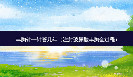 丰胸针一针管几年(注射玻尿酸丰胸全过程)-第1张图片-美选资讯网 丰胸针一针管几年(注射玻尿酸丰胸全过程)-第1张图片-美选资讯网