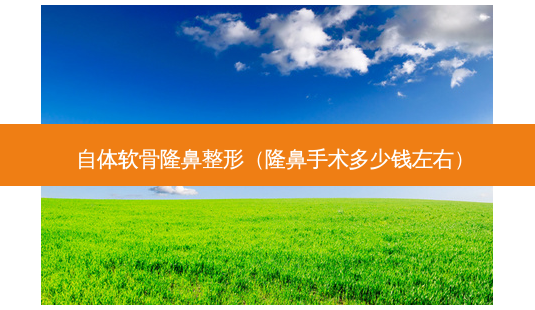 自体软骨隆鼻整形(隆鼻手术多少钱左右)-第1张图片-美选资讯网 自体软骨隆鼻整形(隆鼻手术多少钱左右)-第1张图片-美选资讯网