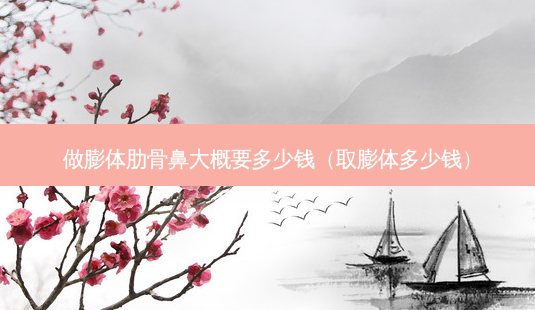 做膨体肋骨鼻大概要多少钱(取膨体多少钱)-第1张图片-美选资讯网 做膨体肋骨鼻大概要多少钱(取膨体多少钱)-第1张图片-美选资讯网
