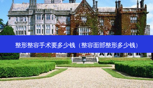 整形整容手术要多少钱(整容面部整形多少钱)-第1张图片-美选资讯网 整形整容手术要多少钱(整容面部整形多少钱)-第1张图片-美选资讯网