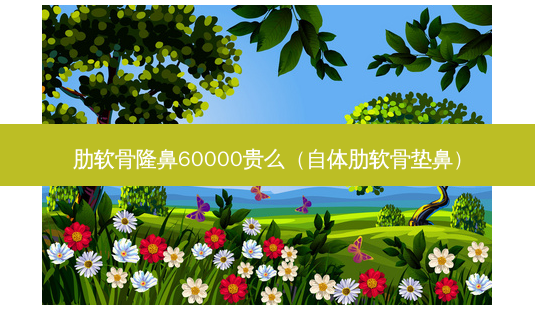 肋软骨隆鼻60000贵么(自体肋软骨垫鼻)-第1张图片-美选资讯网 肋软骨隆鼻60000贵么(自体肋软骨垫鼻)-第1张图片-美选资讯网