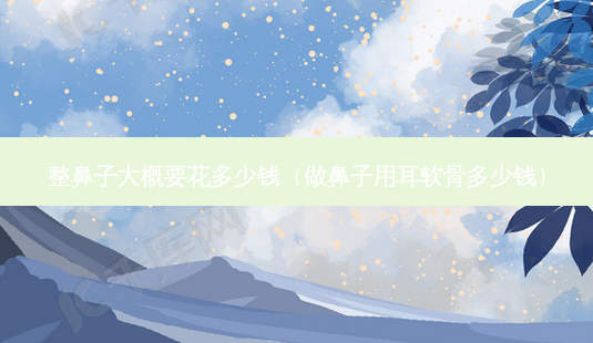整鼻子大概要花多少钱(做鼻子用耳软骨多少钱)-第1张图片-美选资讯网 整鼻子大概要花多少钱(做鼻子用耳软骨多少钱)-第1张图片-美选资讯网