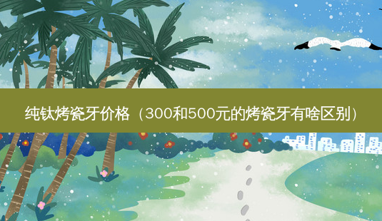 纯钛烤瓷牙价格(300和500元的烤瓷牙有啥区别)-第1张图片-美选资讯网 纯钛烤瓷牙价格(300和500元的烤瓷牙有啥区别)-第1张图片-美选资讯网