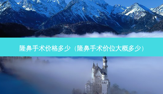 隆鼻手术价格多少(隆鼻手术价位大概多少)-第1张图片-美选资讯网 隆鼻手术价格多少(隆鼻手术价位大概多少)-第1张图片-美选资讯网