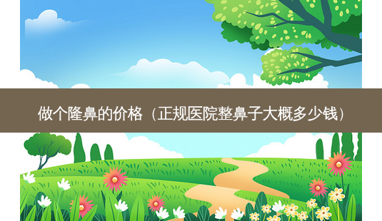 做个隆鼻的价格(正规医院整鼻子大概多少钱)-第1张图片-美选资讯网 做个隆鼻的价格(正规医院整鼻子大概多少钱)-第1张图片-美选资讯网