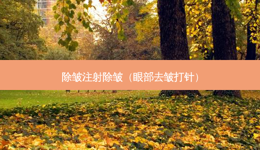除皱注射除皱(眼部去皱打针)-第1张图片-美选资讯网 除皱注射除皱(眼部去皱打针)-第1张图片-美选资讯网