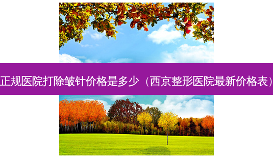正规医院打除皱针价格是多少(西京整形医院新价格表)-第1张图片-美选资讯网 正规医院打除皱针价格是多少(西京整形医院新价格表)-第1张图片-美选资讯网