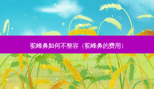 驼峰鼻如何不整容(驼峰鼻的费用)-第1张图片-美选资讯网 驼峰鼻如何不整容(驼峰鼻的费用)-第1张图片-美选资讯网