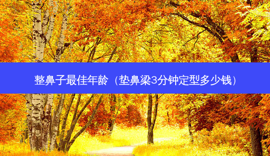 整鼻子佳年龄(垫鼻梁3分钟定型多少钱)-第1张图片-美选资讯网 整鼻子佳年龄(垫鼻梁3分钟定型多少钱)-第1张图片-美选资讯网