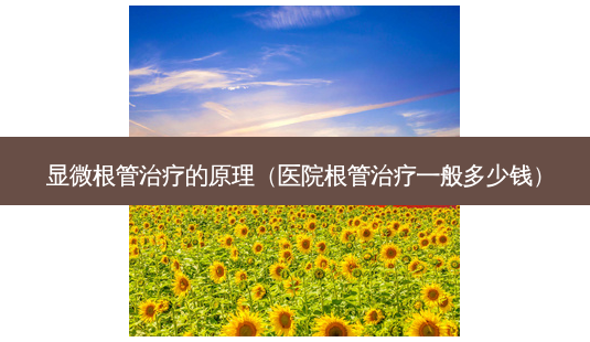 显微根管的原理(医院根管一般多少钱)-第1张图片-美选资讯网 显微根管的原理(医院根管一般多少钱)-第1张图片-美选资讯网