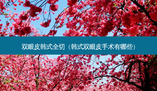 双眼皮韩式全切(韩式双眼皮手术有哪些)-第1张图片-美选资讯网 双眼皮韩式全切(韩式双眼皮手术有哪些)-第1张图片-美选资讯网