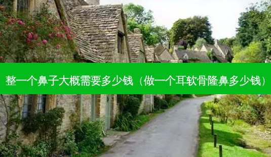 整一个鼻子大概需要多少钱(做一个耳软骨隆鼻多少钱)-第1张图片-美选资讯网 整一个鼻子大概需要多少钱(做一个耳软骨隆鼻多少钱)-第1张图片-美选资讯网