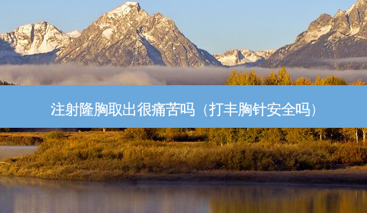注射隆胸取出很痛苦吗(打丰胸针 *** 吗)-第1张图片-美选资讯网 注射隆胸取出很痛苦吗(打丰胸针 *** 吗)-第1张图片-美选资讯网