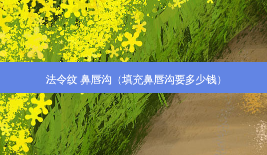 法令纹 鼻唇沟(填充鼻唇沟要多少钱)-第1张图片-美选资讯网 法令纹 鼻唇沟(填充鼻唇沟要多少钱)-第1张图片-美选资讯网