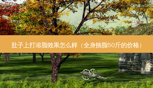肚子上打溶脂效果怎么样(全身抽脂50斤的价格)-第1张图片-美选资讯网 肚子上打溶脂效果怎么样(全身抽脂50斤的价格)-第1张图片-美选资讯网