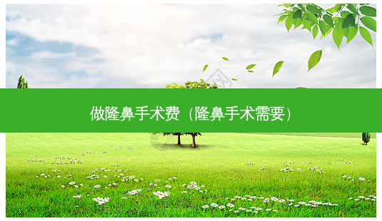 做隆鼻手术费(隆鼻手术需要)-第1张图片-美选资讯网 做隆鼻手术费(隆鼻手术需要)-第1张图片-美选资讯网