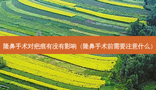 隆鼻手术对疤痕有没有影响(隆鼻手术前需要注意什么)-第1张图片-美选资讯网 隆鼻手术对疤痕有没有影响(隆鼻手术前需要注意什么)-第1张图片-美选资讯网