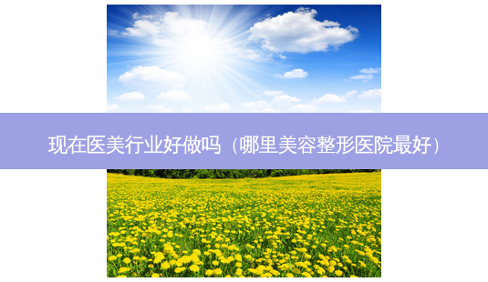 现在医美行业好做吗(哪里美容整形医院好)-第1张图片-美选资讯网 现在医美行业好做吗(哪里美容整形医院好)-第1张图片-美选资讯网