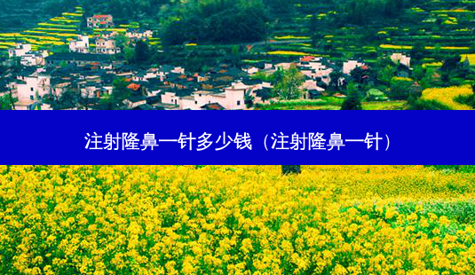 注射隆鼻一针多少钱(注射隆鼻一针)-第1张图片-美选资讯网 注射隆鼻一针多少钱(注射隆鼻一针)-第1张图片-美选资讯网