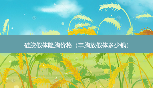 硅胶假体隆胸价格(丰胸放假体多少钱)-第1张图片-美选资讯网 硅胶假体隆胸价格(丰胸放假体多少钱)-第1张图片-美选资讯网